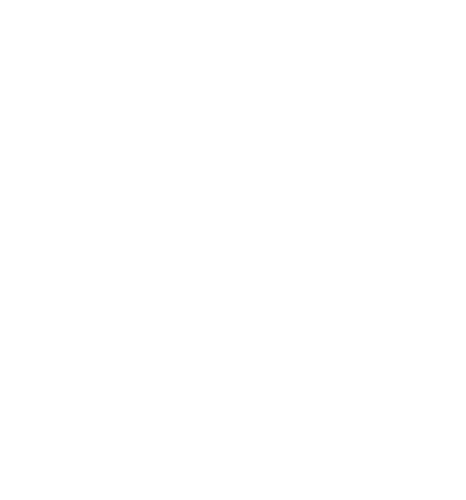 Logo de la société Imafi en blanc